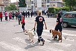 Gassino - 10 maggio 2009 - 25 anno di Fondazione - Croce Rossa Italiana - Ispettorato Regionale Volontari del Soccorso Piemonte