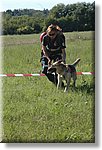 Castelnuovo Don Bosco - 5 settembre 2009 - Gara regionale di primo soccorso - Croce Rossa Italiana - Ispettorato Regionale Volontari del Soccorso Piemonte