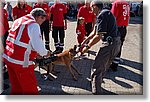 Cossato - 27 settembre 2010 - 30 anni fondazione  - Croce Rossa Italiana - Ispettorato Regionale Volontari del Soccorso Piemonte