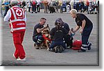 Cossato - 27 settembre 2010 - 30 anni fondazione  - Croce Rossa Italiana - Ispettorato Regionale Volontari del Soccorso Piemonte