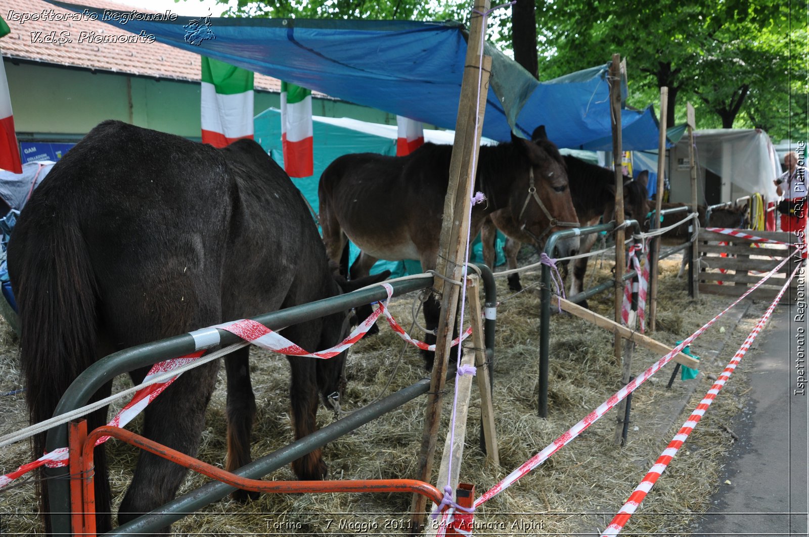 Torino  - 7 Maggio 2011 - 84a Adunata Nazionale Alpini -  Croce Rossa Italiana - Ispettorato Regionale Volontari del Soccorso Piemonte