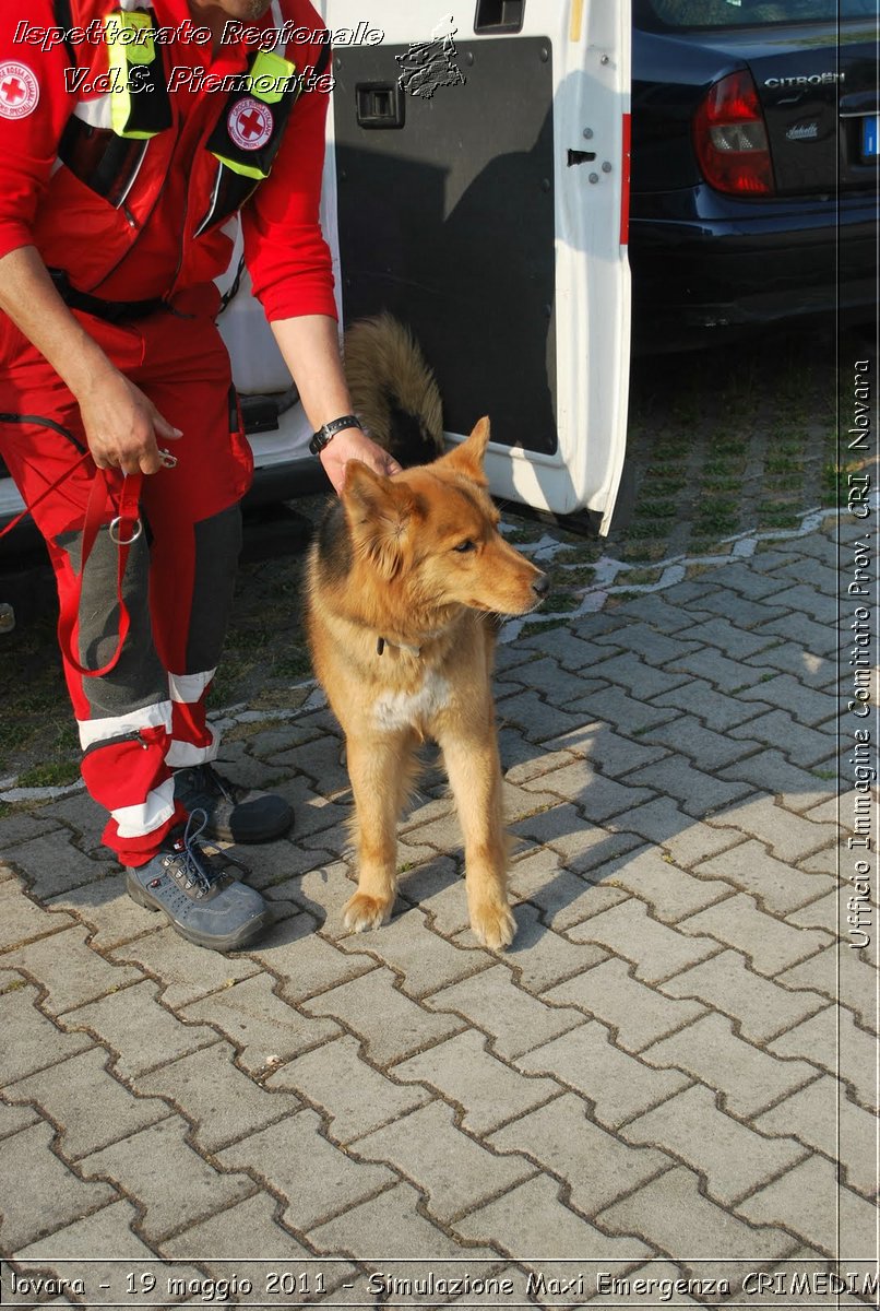 Novara - 19 maggio 2011 - Simulazione Maxi Emergenza CRIMEDIM  - Croce Rossa Italiana - Ufficio Immagine Comitato Provinciale CRI Novara