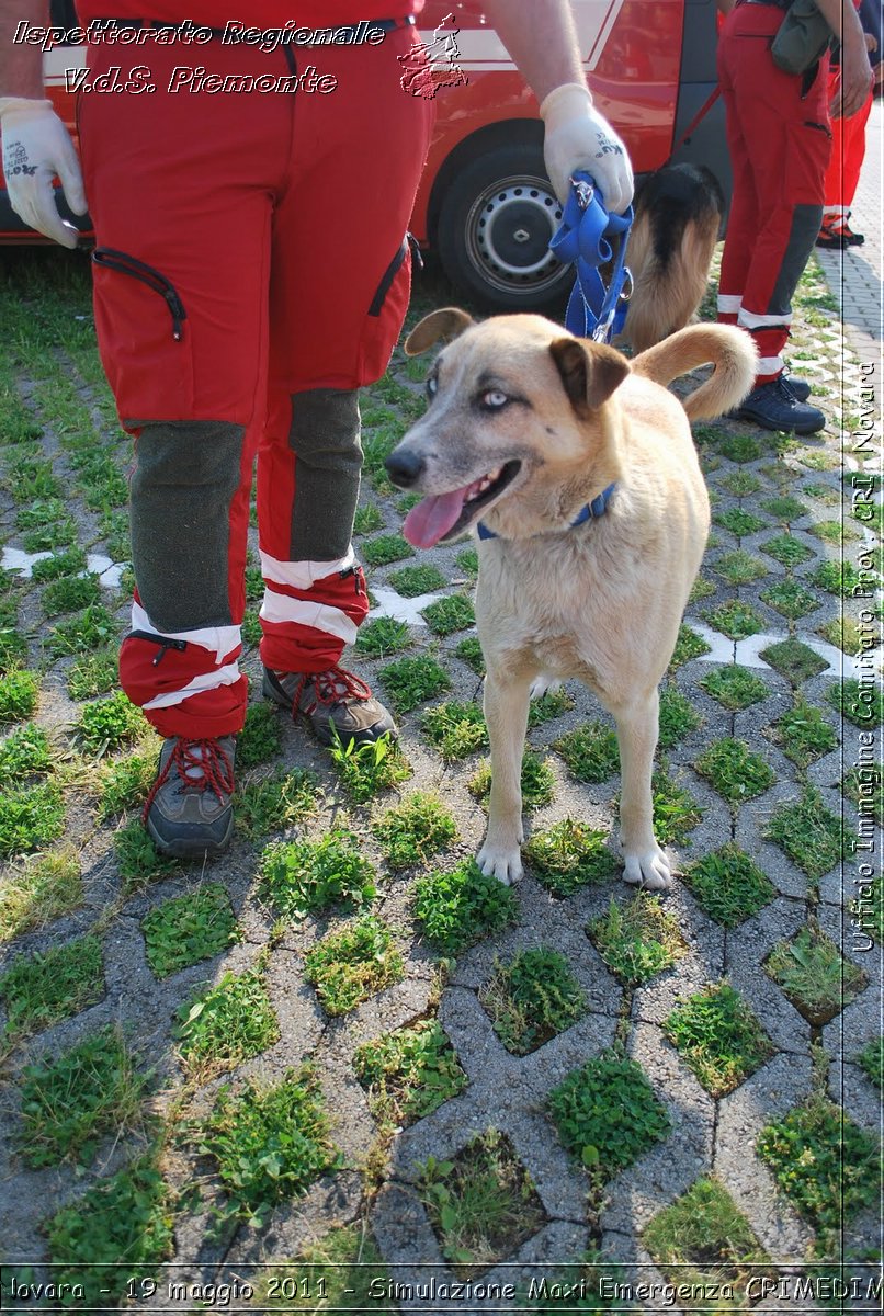 Novara - 19 maggio 2011 - Simulazione Maxi Emergenza CRIMEDIM  - Croce Rossa Italiana - Ufficio Immagine Comitato Provinciale CRI Novara