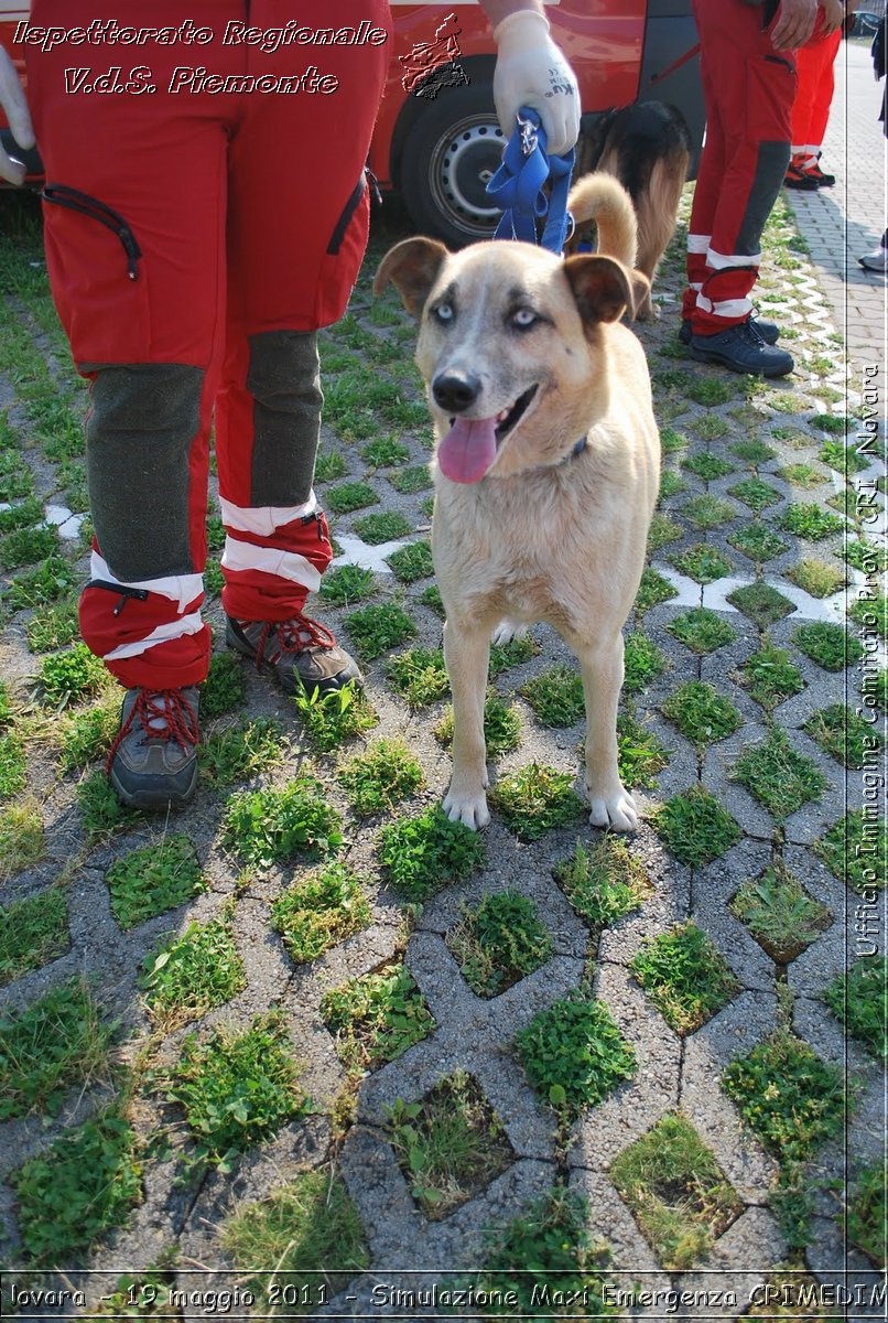 Novara - 19 maggio 2011 - Simulazione Maxi Emergenza CRIMEDIM  - Croce Rossa Italiana - Ufficio Immagine Comitato Provinciale CRI Novara