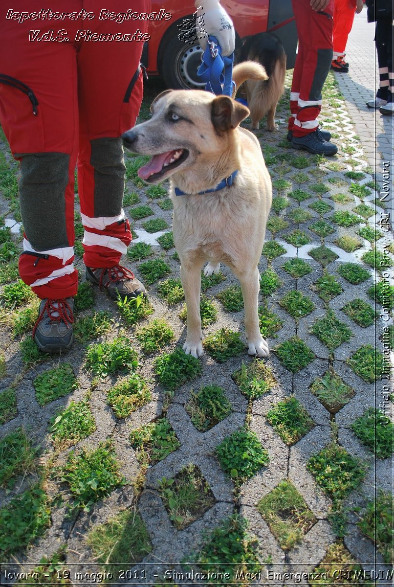 Novara - 19 maggio 2011 - Simulazione Maxi Emergenza CRIMEDIM  - Croce Rossa Italiana - Ufficio Immagine Comitato Provinciale CRI Novara