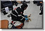 Baceno - 11 giugno 2011 - Gara Provinciale VCO di soccorsoi - Croce Rossa Italiana - Ispettorato Regionale Volontari del Soccorso Piemonte