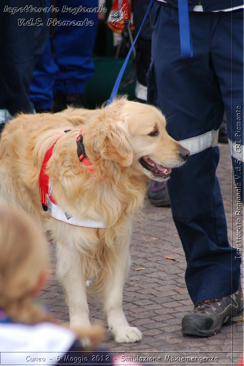 Cuneo - 6 Maggio 2012 - Simulazione Maxiemergenza- Croce Rossa Italiana - Ispettorato Regionale Volontari del Soccorso Piemonte