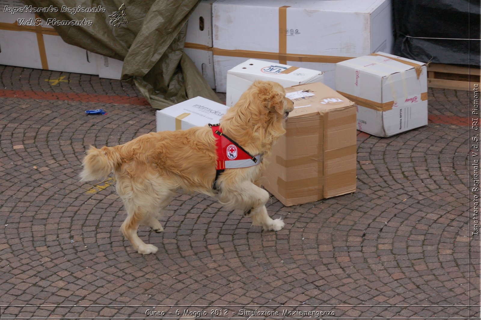 Cuneo - 6 Maggio 2012 - Simulazione Maxiemergenza- Croce Rossa Italiana - Ispettorato Regionale Volontari del Soccorso Piemonte