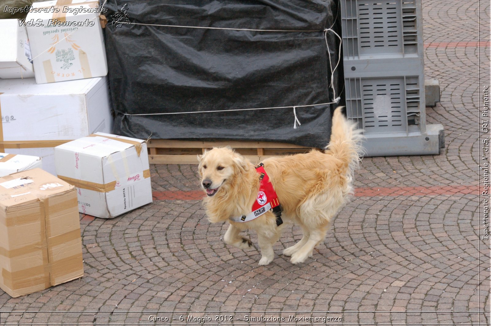 Cuneo - 6 Maggio 2012 - Simulazione Maxiemergenza- Croce Rossa Italiana - Ispettorato Regionale Volontari del Soccorso Piemonte