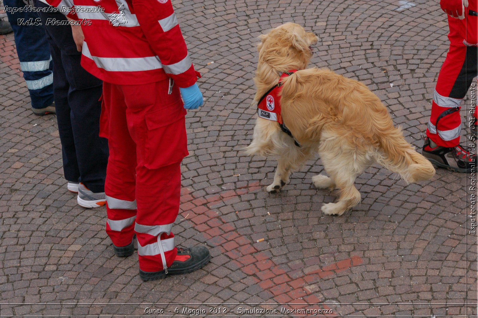 Cuneo - 6 Maggio 2012 - Simulazione Maxiemergenza- Croce Rossa Italiana - Ispettorato Regionale Volontari del Soccorso Piemonte