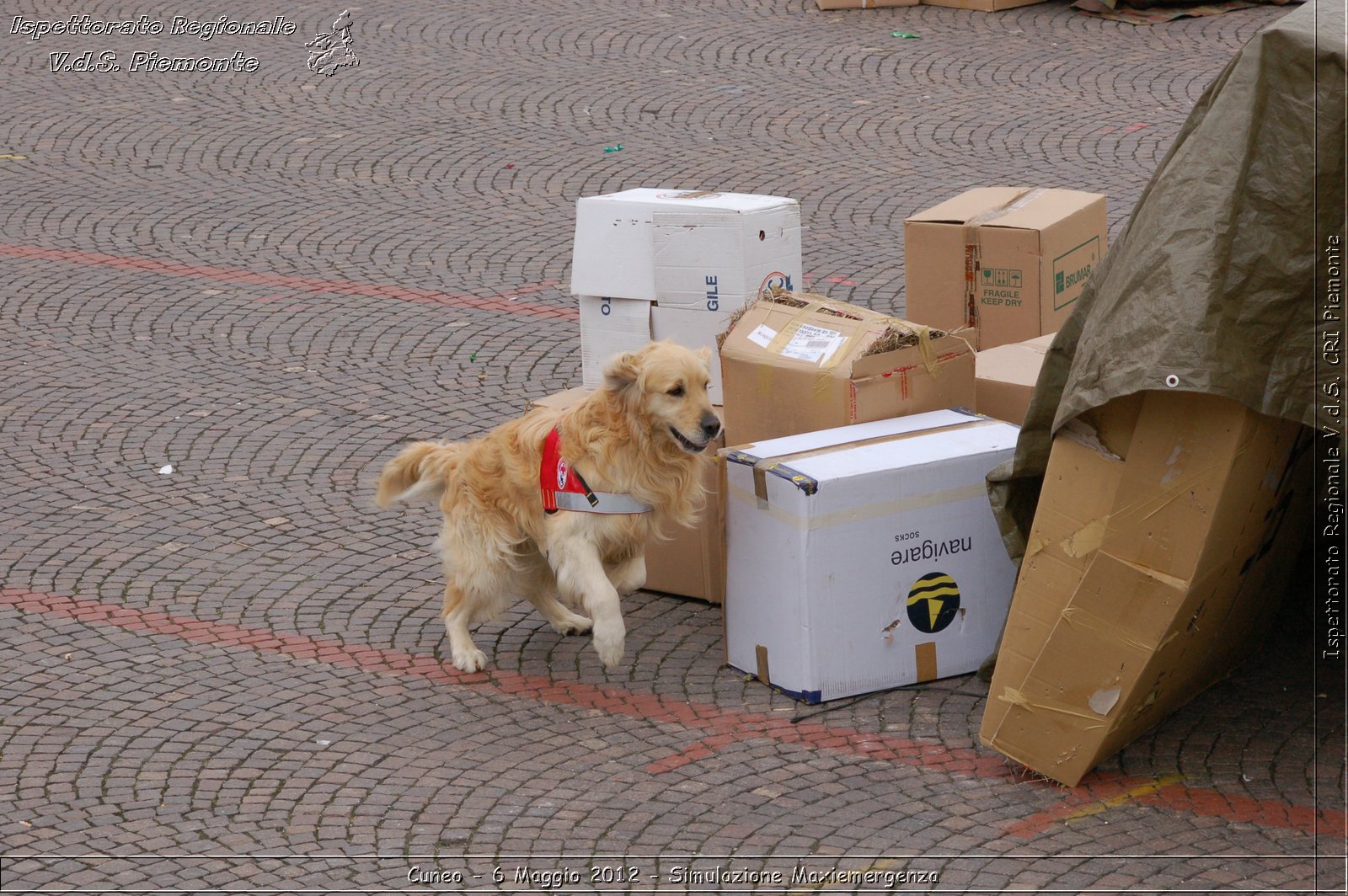 Cuneo - 6 Maggio 2012 - Simulazione Maxiemergenza- Croce Rossa Italiana - Ispettorato Regionale Volontari del Soccorso Piemonte