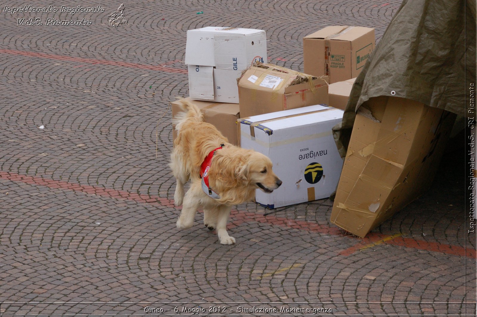 Cuneo - 6 Maggio 2012 - Simulazione Maxiemergenza- Croce Rossa Italiana - Ispettorato Regionale Volontari del Soccorso Piemonte