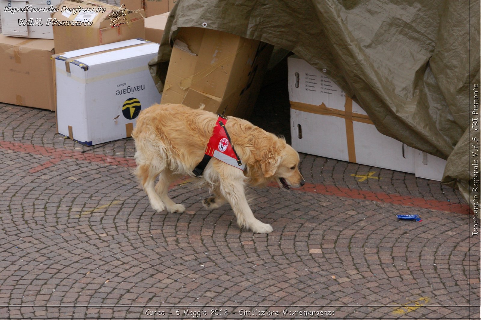 Cuneo - 6 Maggio 2012 - Simulazione Maxiemergenza- Croce Rossa Italiana - Ispettorato Regionale Volontari del Soccorso Piemonte