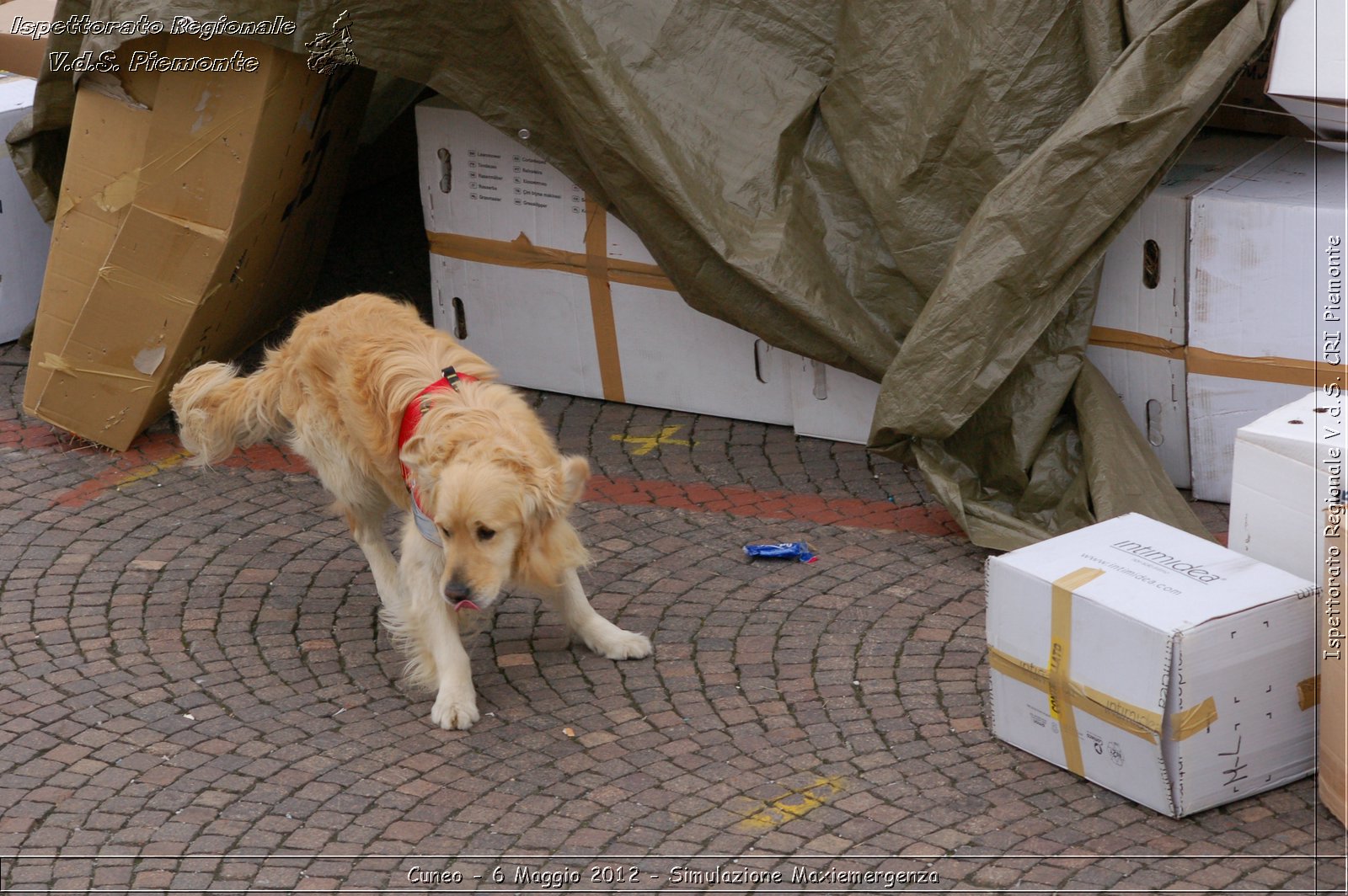 Cuneo - 6 Maggio 2012 - Simulazione Maxiemergenza- Croce Rossa Italiana - Ispettorato Regionale Volontari del Soccorso Piemonte