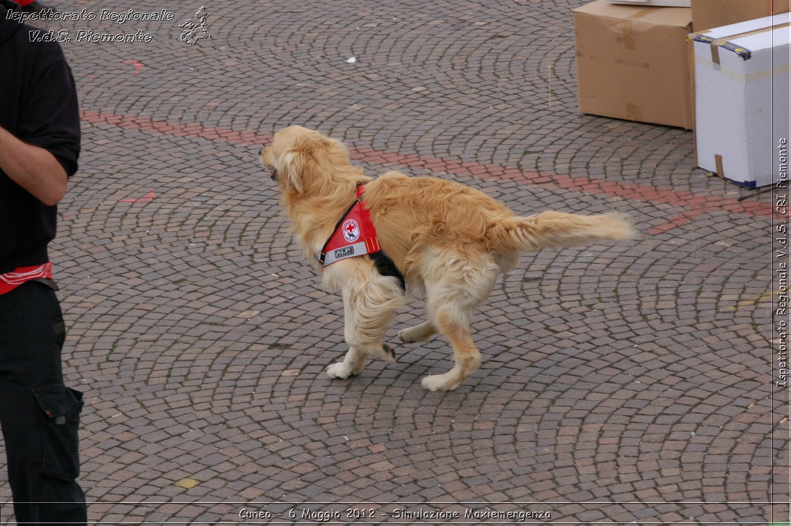 Cuneo - 6 Maggio 2012 - Simulazione Maxiemergenza- Croce Rossa Italiana - Ispettorato Regionale Volontari del Soccorso Piemonte