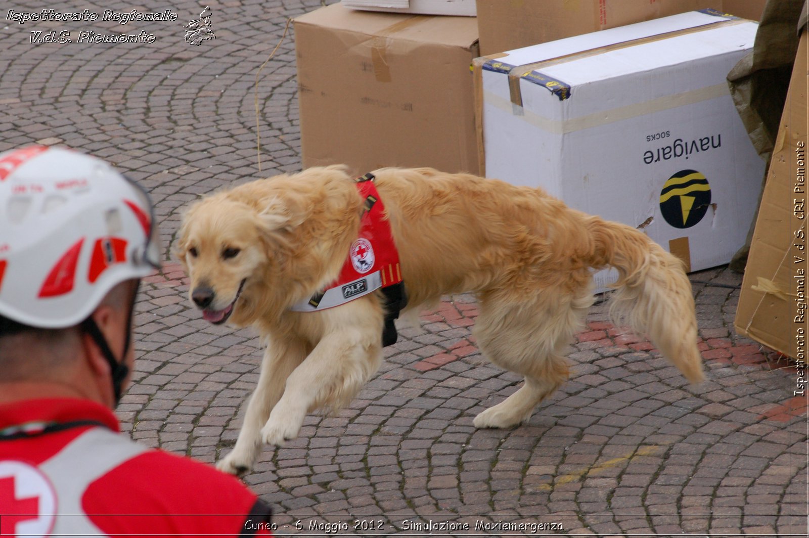 Cuneo - 6 Maggio 2012 - Simulazione Maxiemergenza- Croce Rossa Italiana - Ispettorato Regionale Volontari del Soccorso Piemonte