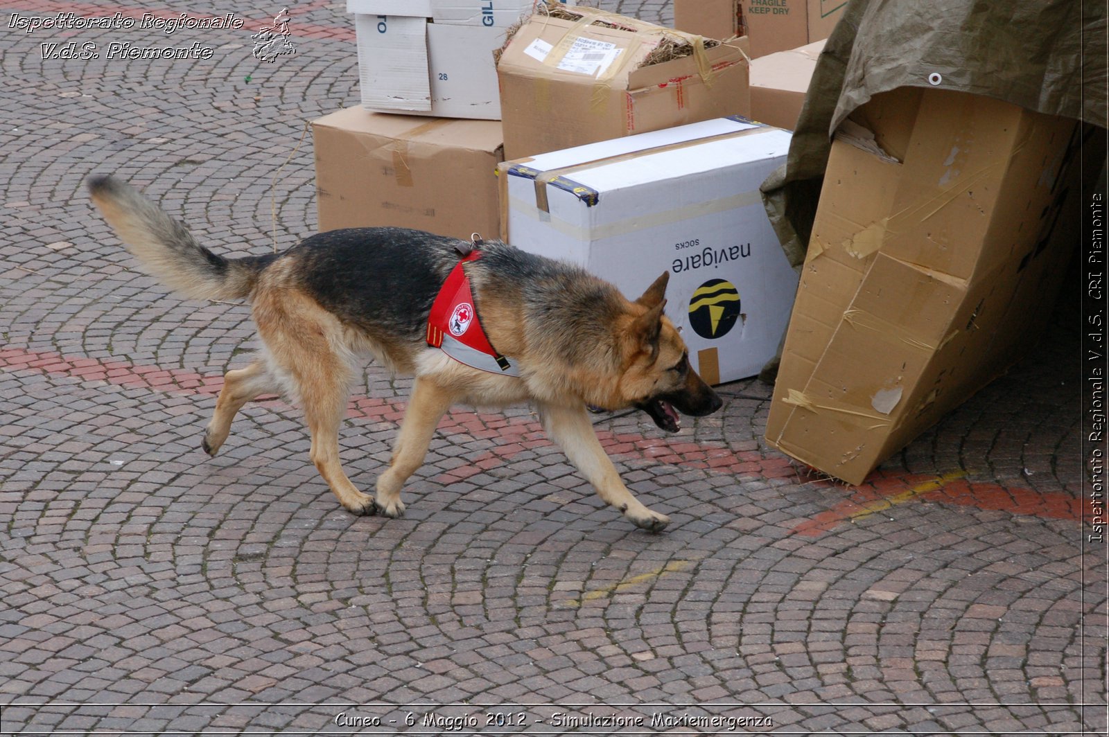 Cuneo - 6 Maggio 2012 - Simulazione Maxiemergenza- Croce Rossa Italiana - Ispettorato Regionale Volontari del Soccorso Piemonte