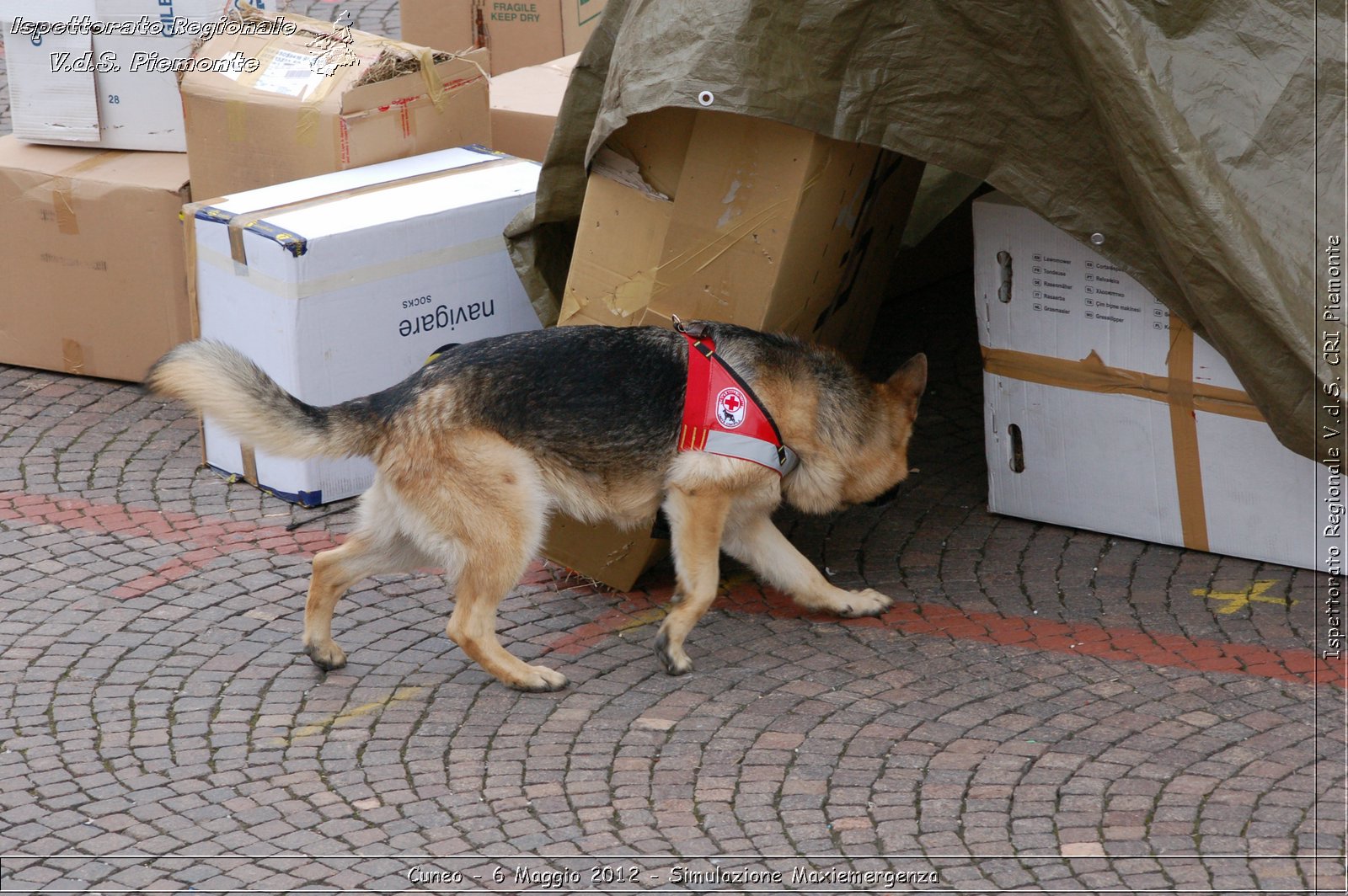 Cuneo - 6 Maggio 2012 - Simulazione Maxiemergenza- Croce Rossa Italiana - Ispettorato Regionale Volontari del Soccorso Piemonte