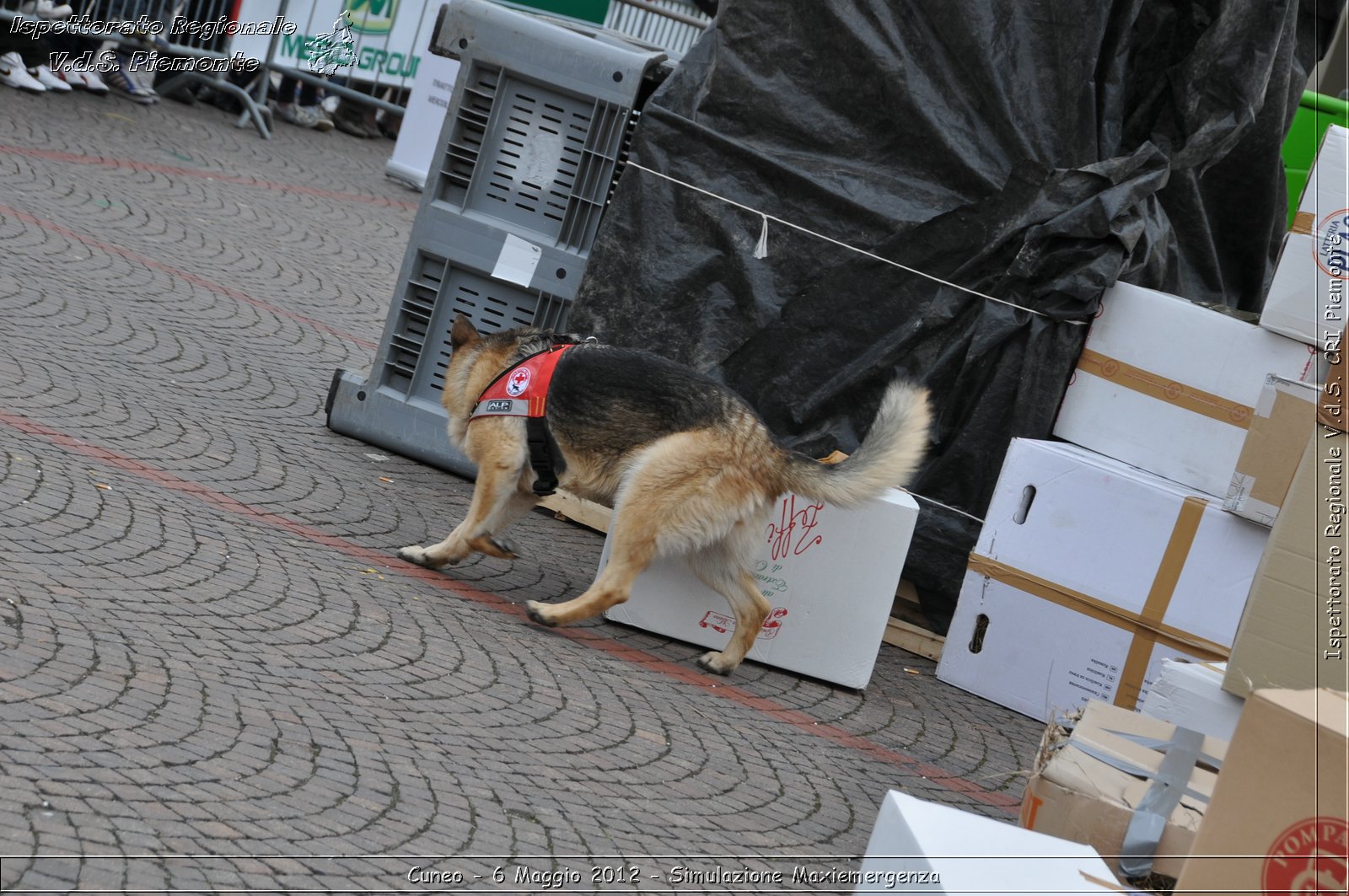 Cuneo - 6 Maggio 2012 - Simulazione Maxiemergenza- Croce Rossa Italiana - Ispettorato Regionale Volontari del Soccorso Piemonte