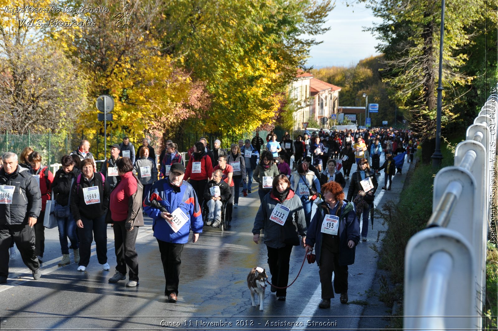 Cuneo 11 Novembre 2012 - Assistenza Stracni - Croce Rossa Italiana - Ispettorato Regionale Volontari del Soccorso del Piemonte