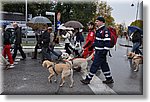 Cuneo 11 Novembre 2012 - Assistenza Stracni - Croce Rossa Italiana - Ispettorato Regionale Volontari del Soccorso del Piemonte