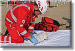 Cri Piemonte - Organizzazione Gara Regionale 1° Soccorso - Croce Rossa Italiana - Comitato Regionale del Piemonte