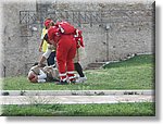 Cri Piemonte - Organizzazione Gara Regionale 1 Soccorso - Croce Rossa Italiana - Comitato Regionale del Piemonte