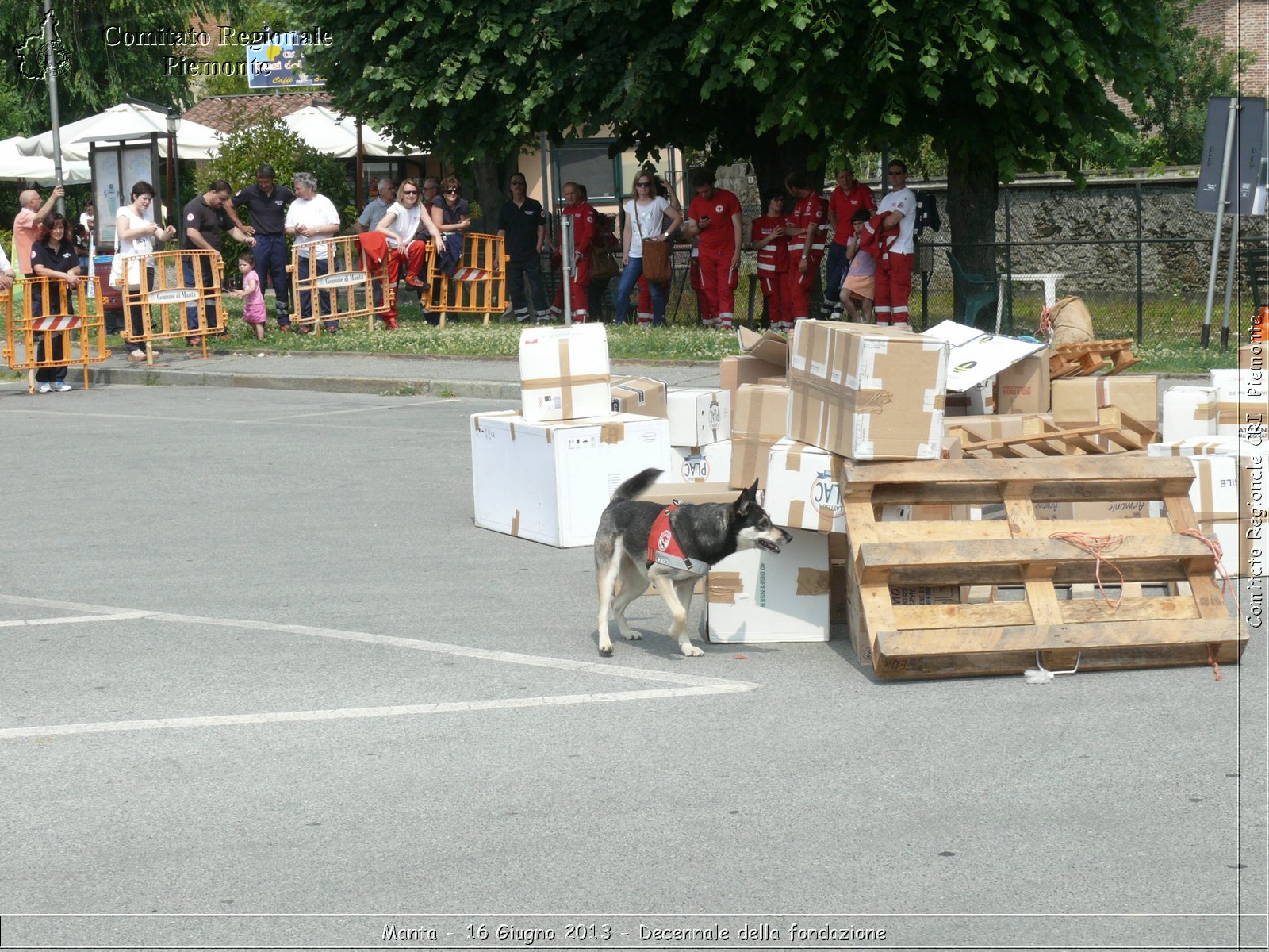 Manta - 16 Giugno 2013 - Decennale della fondazione - Croce Rossa Italiana - Comitato Regionale del Piemonte