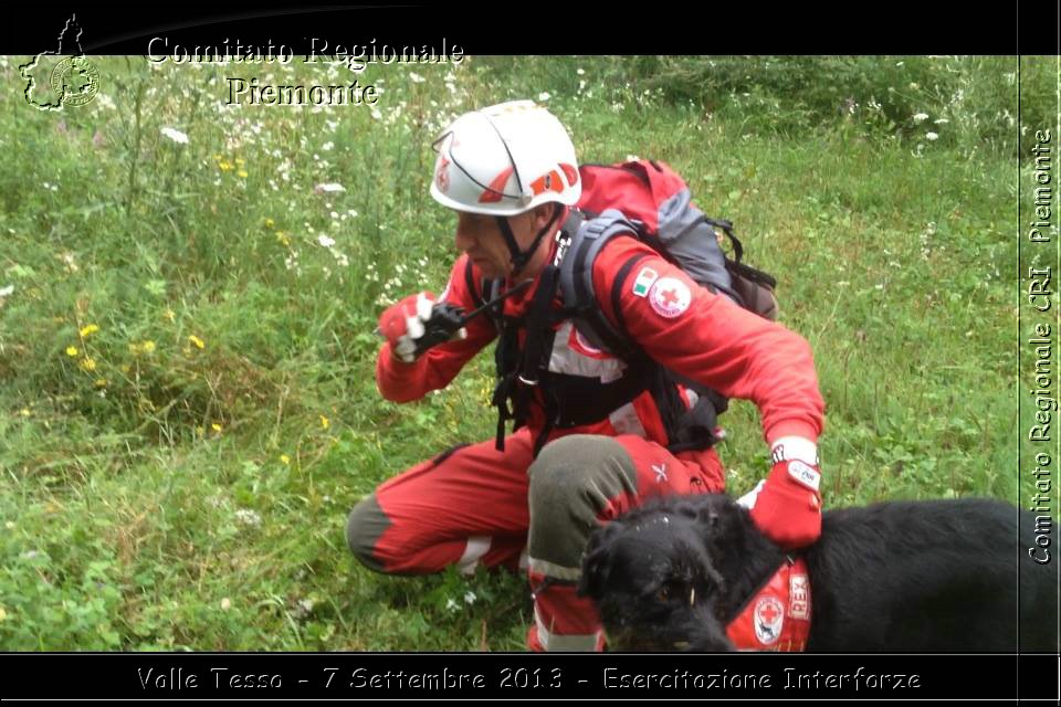 Valle Tesso - 7 Settembre 2013 - Esercitazione Interforze - Croce Rossa Italiana - Comitato Regionale del Piemonte