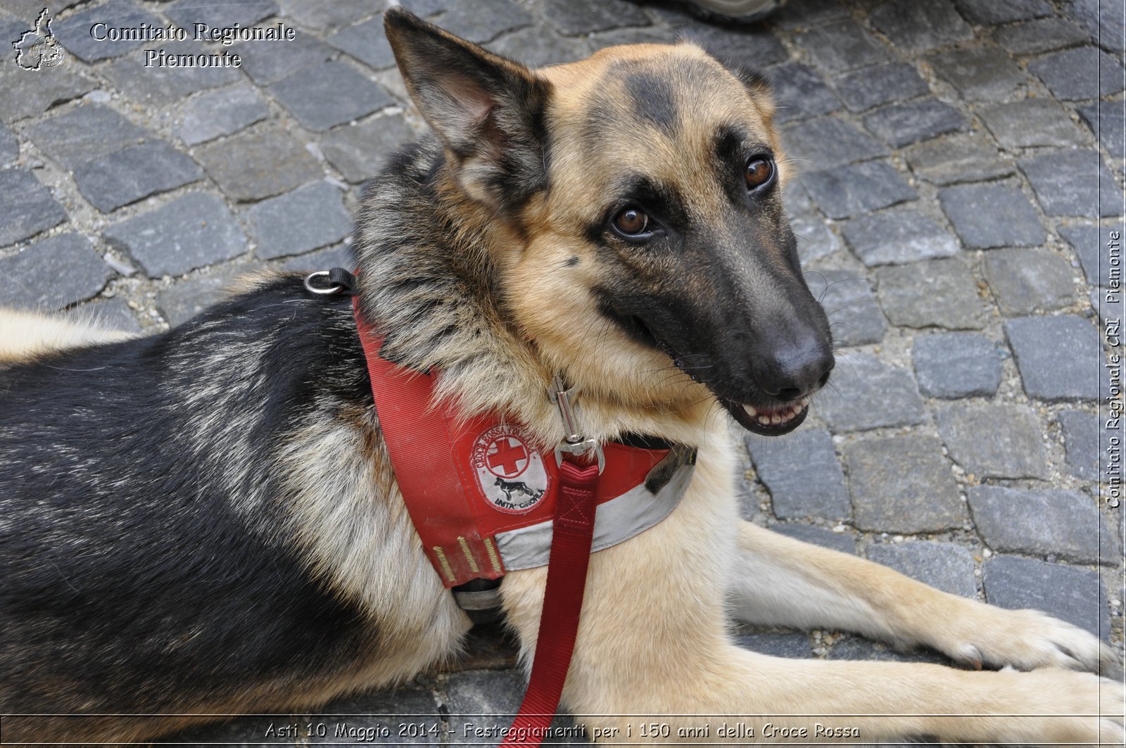 Asti 10 Maggio 2014 - Festeggiamenti per i 150 anni della Croce Rossa - Comitato Regionale del Piemonte