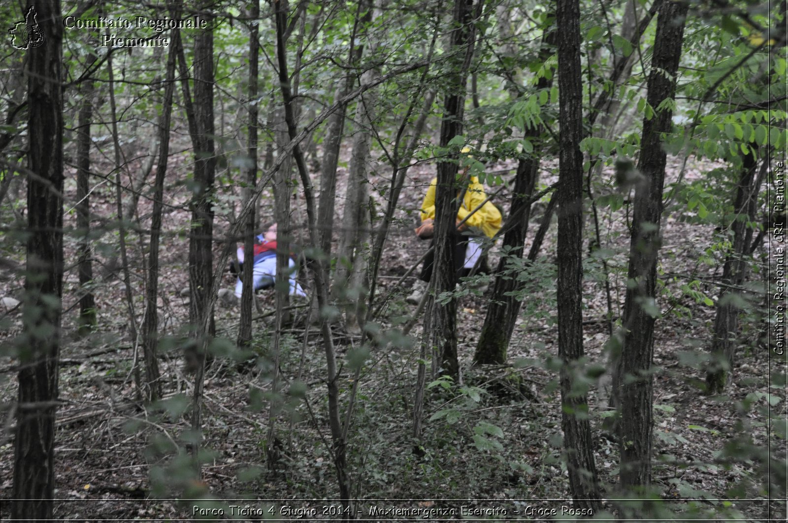 Parco Ticino 4 Giugno 2014 - Maxiemergenza Esercito - Croce Rossa - Comitato Regionale del Piemonte