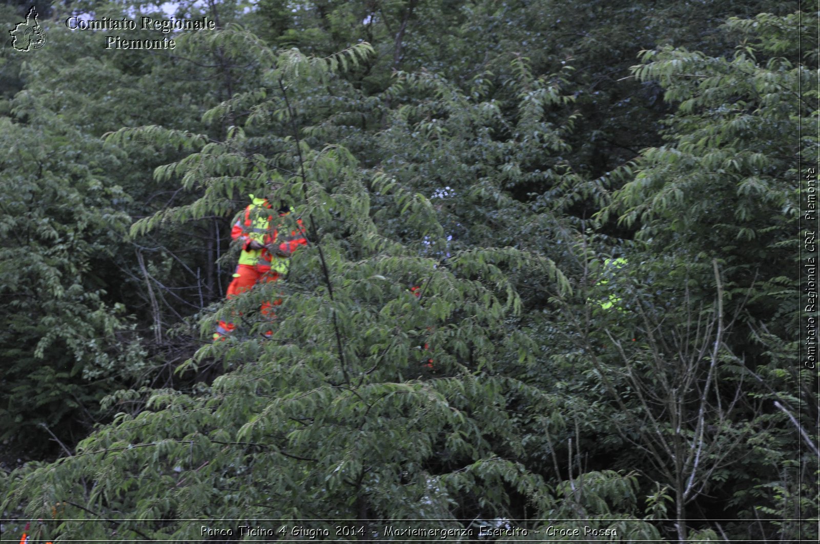 Parco Ticino 4 Giugno 2014 - Maxiemergenza Esercito - Croce Rossa - Comitato Regionale del Piemonte