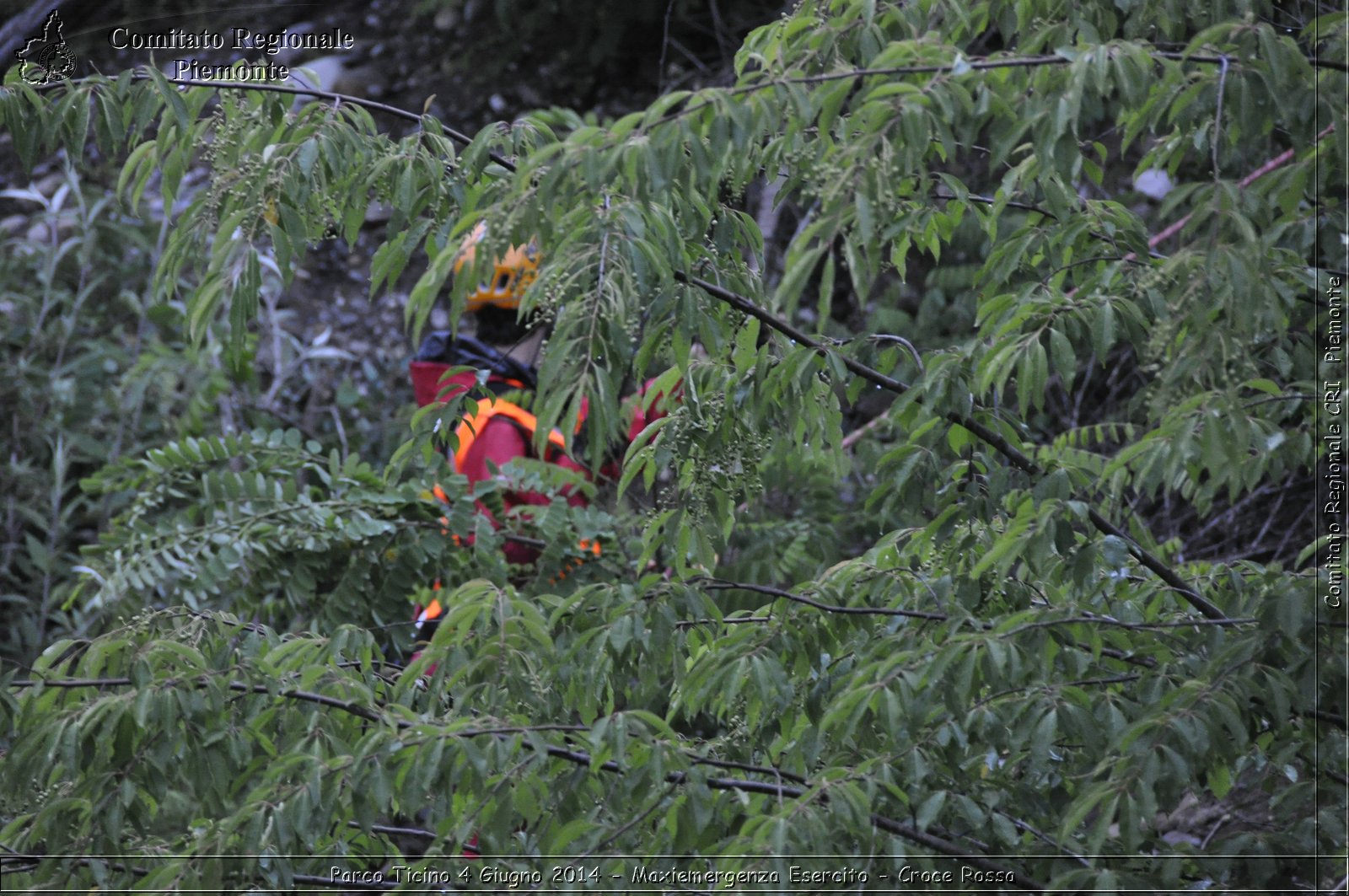 Parco Ticino 4 Giugno 2014 - Maxiemergenza Esercito - Croce Rossa - Comitato Regionale del Piemonte