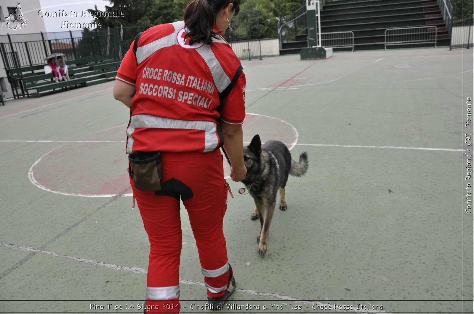 Pino T.se 14 Giugno 2014 - Cinofili di Villardora a Pino T.se - Croce Rossa Italiana- Comitato Regionale del Piemonte