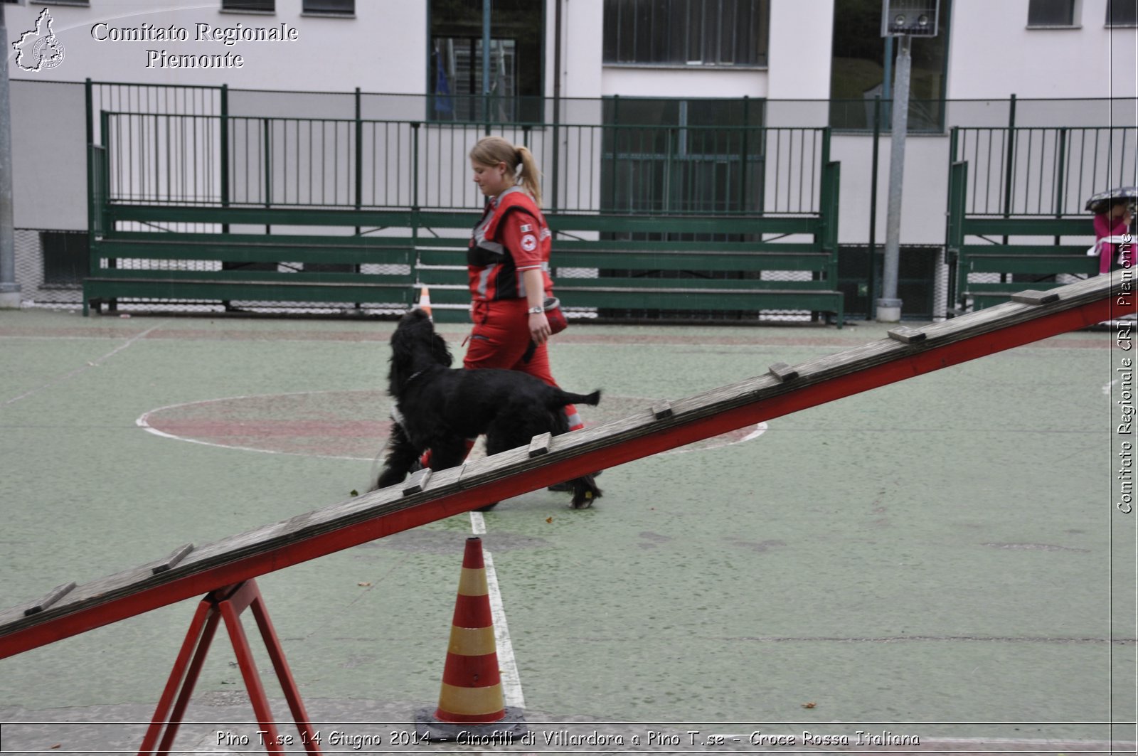 Pino T.se 14 Giugno 2014 - Cinofili di Villardora a Pino T.se - Croce Rossa Italiana- Comitato Regionale del Piemonte