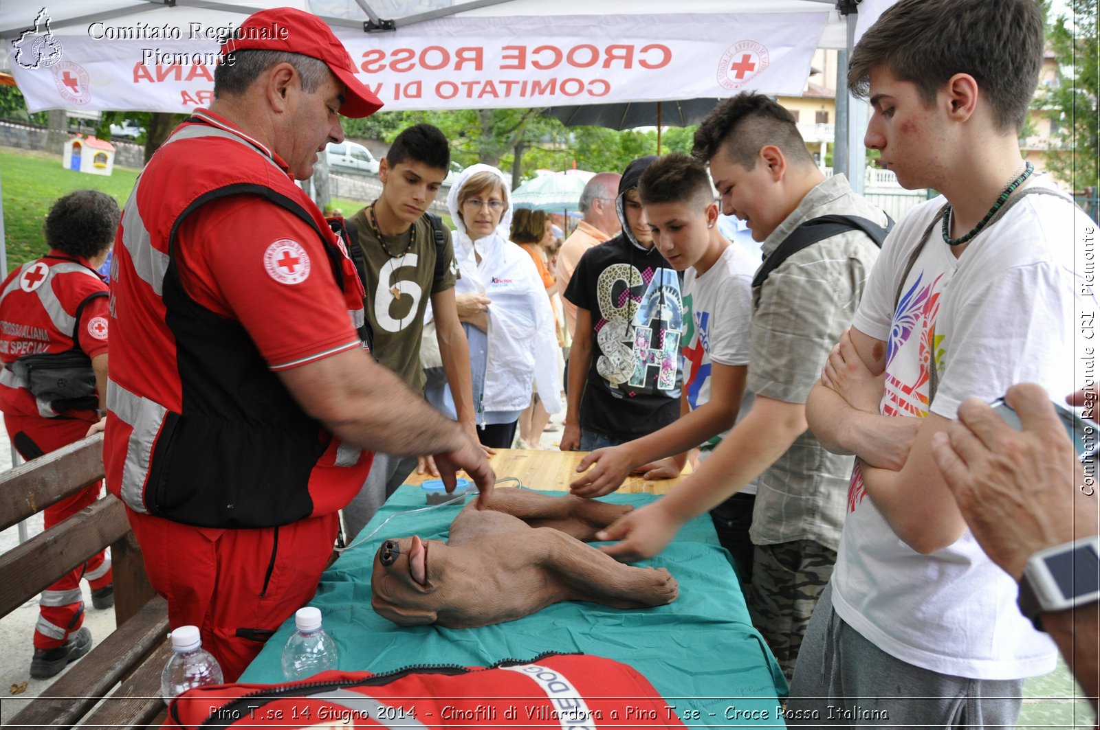 Pino T.se 14 Giugno 2014 - Cinofili di Villardora a Pino T.se - Croce Rossa Italiana- Comitato Regionale del Piemonte