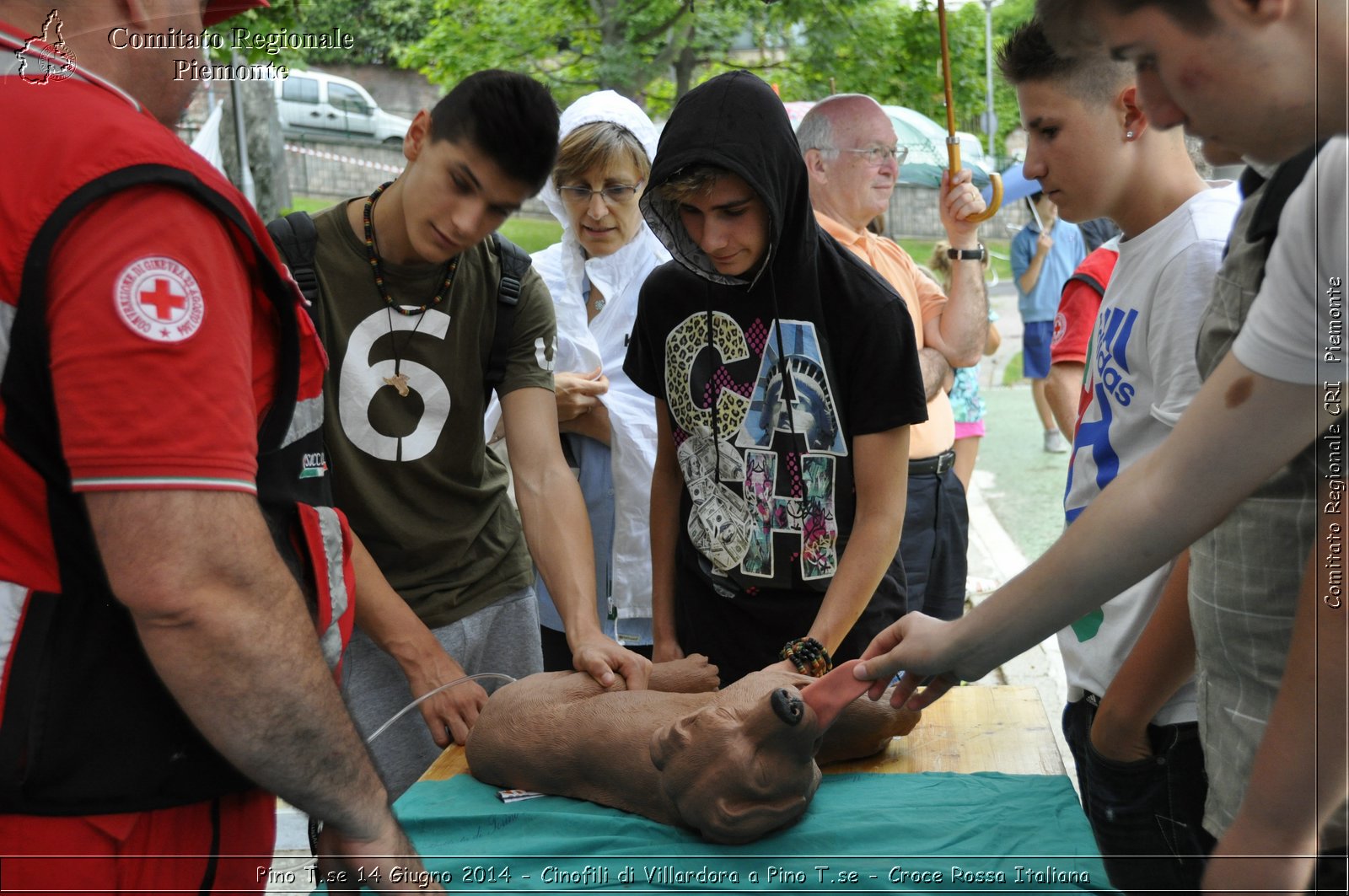 Pino T.se 14 Giugno 2014 - Cinofili di Villardora a Pino T.se - Croce Rossa Italiana- Comitato Regionale del Piemonte