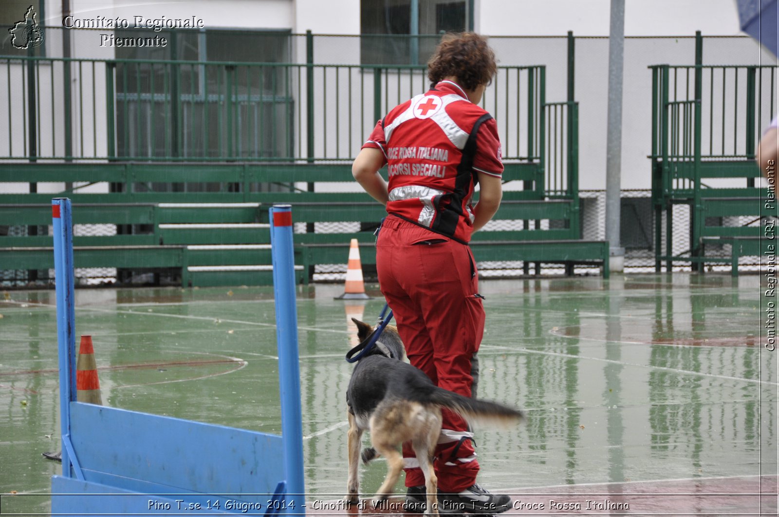 Pino T.se 14 Giugno 2014 - Cinofili di Villardora a Pino T.se - Croce Rossa Italiana- Comitato Regionale del Piemonte