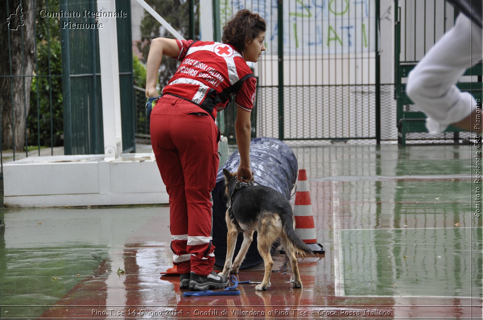 Pino T.se 14 Giugno 2014 - Cinofili di Villardora a Pino T.se - Croce Rossa Italiana- Comitato Regionale del Piemonte