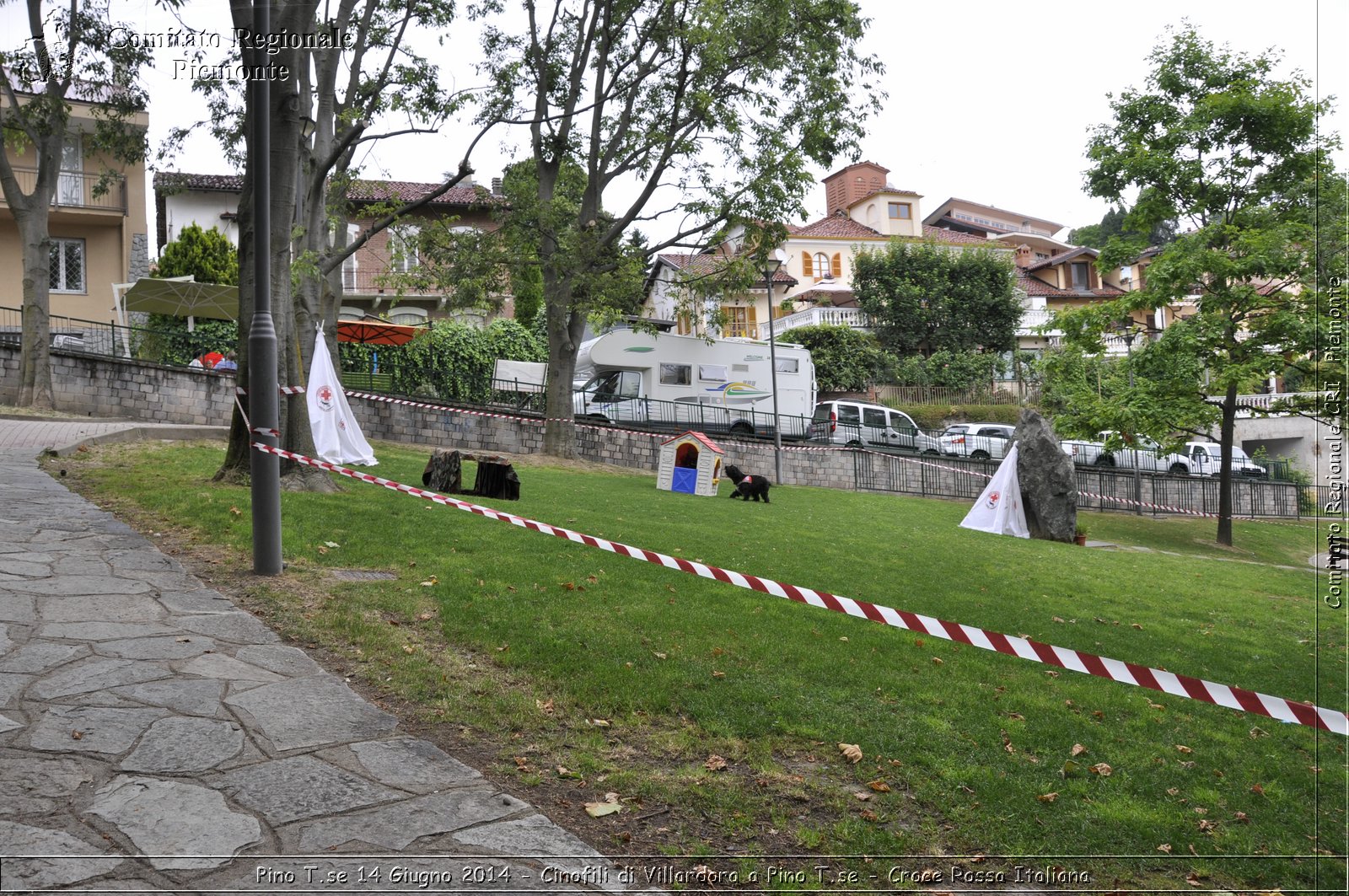 Pino T.se 14 Giugno 2014 - Cinofili di Villardora a Pino T.se - Croce Rossa Italiana- Comitato Regionale del Piemonte