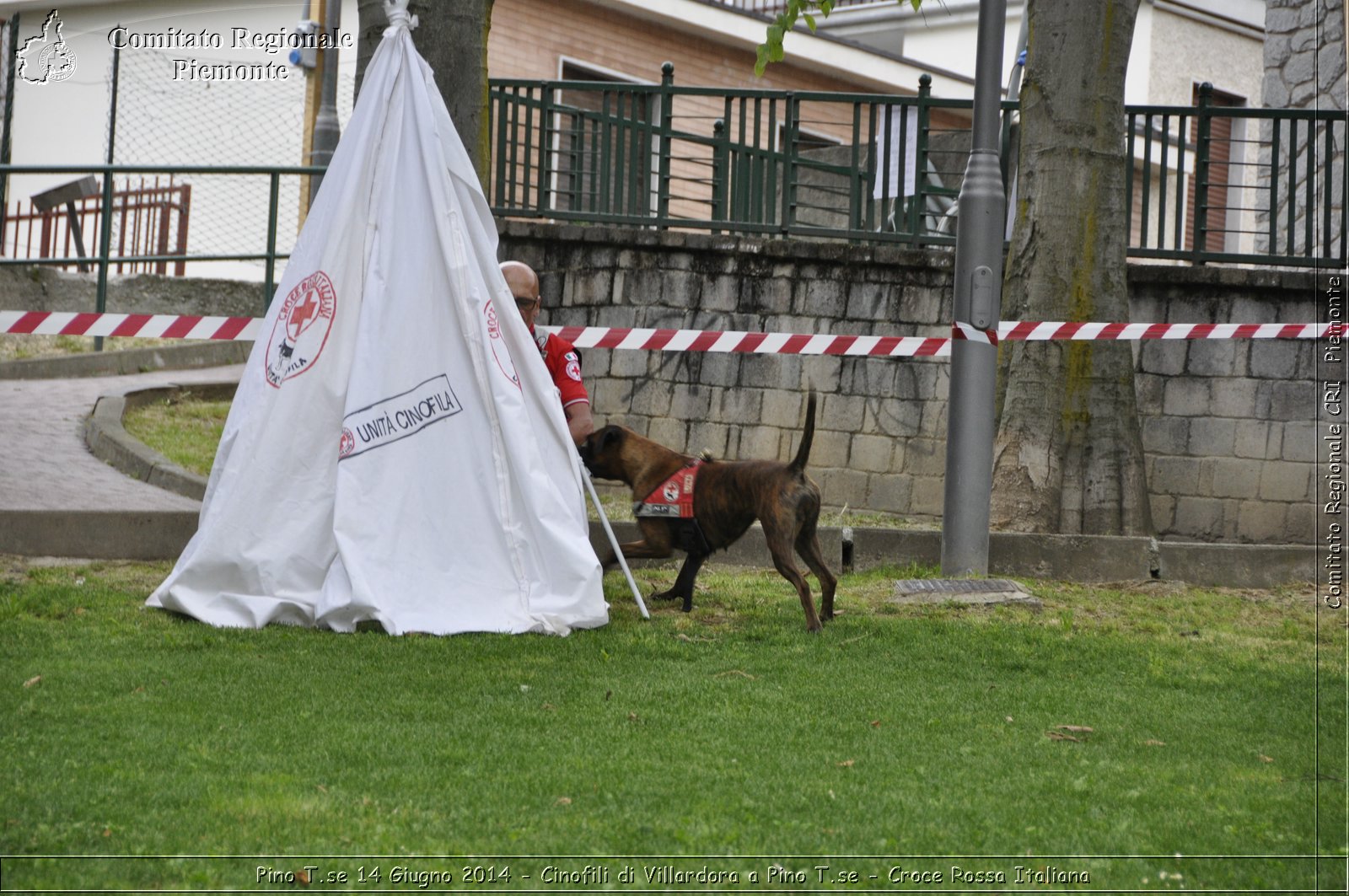 Pino T.se 14 Giugno 2014 - Cinofili di Villardora a Pino T.se - Croce Rossa Italiana- Comitato Regionale del Piemonte