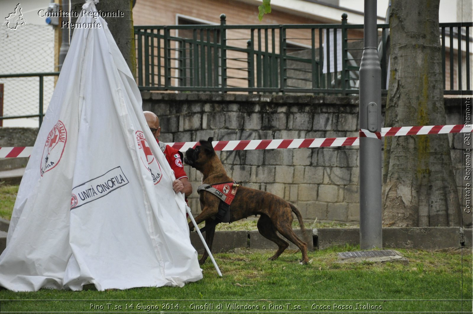 Pino T.se 14 Giugno 2014 - Cinofili di Villardora a Pino T.se - Croce Rossa Italiana- Comitato Regionale del Piemonte