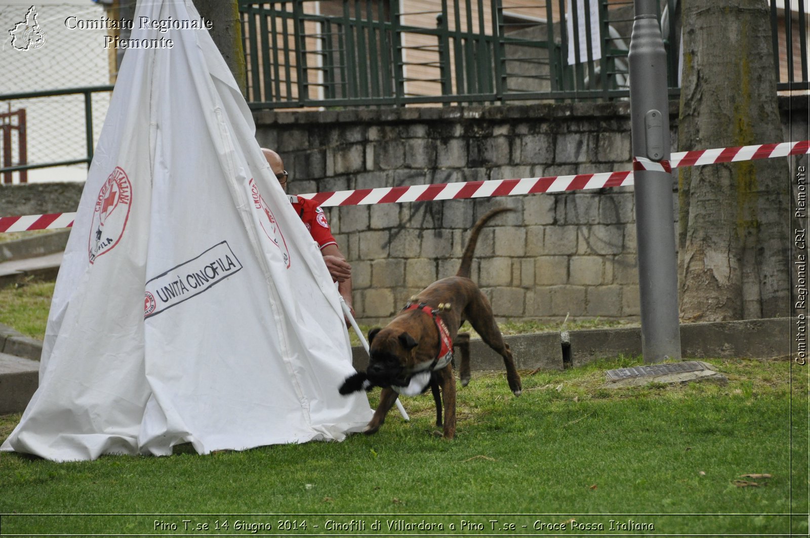 Pino T.se 14 Giugno 2014 - Cinofili di Villardora a Pino T.se - Croce Rossa Italiana- Comitato Regionale del Piemonte