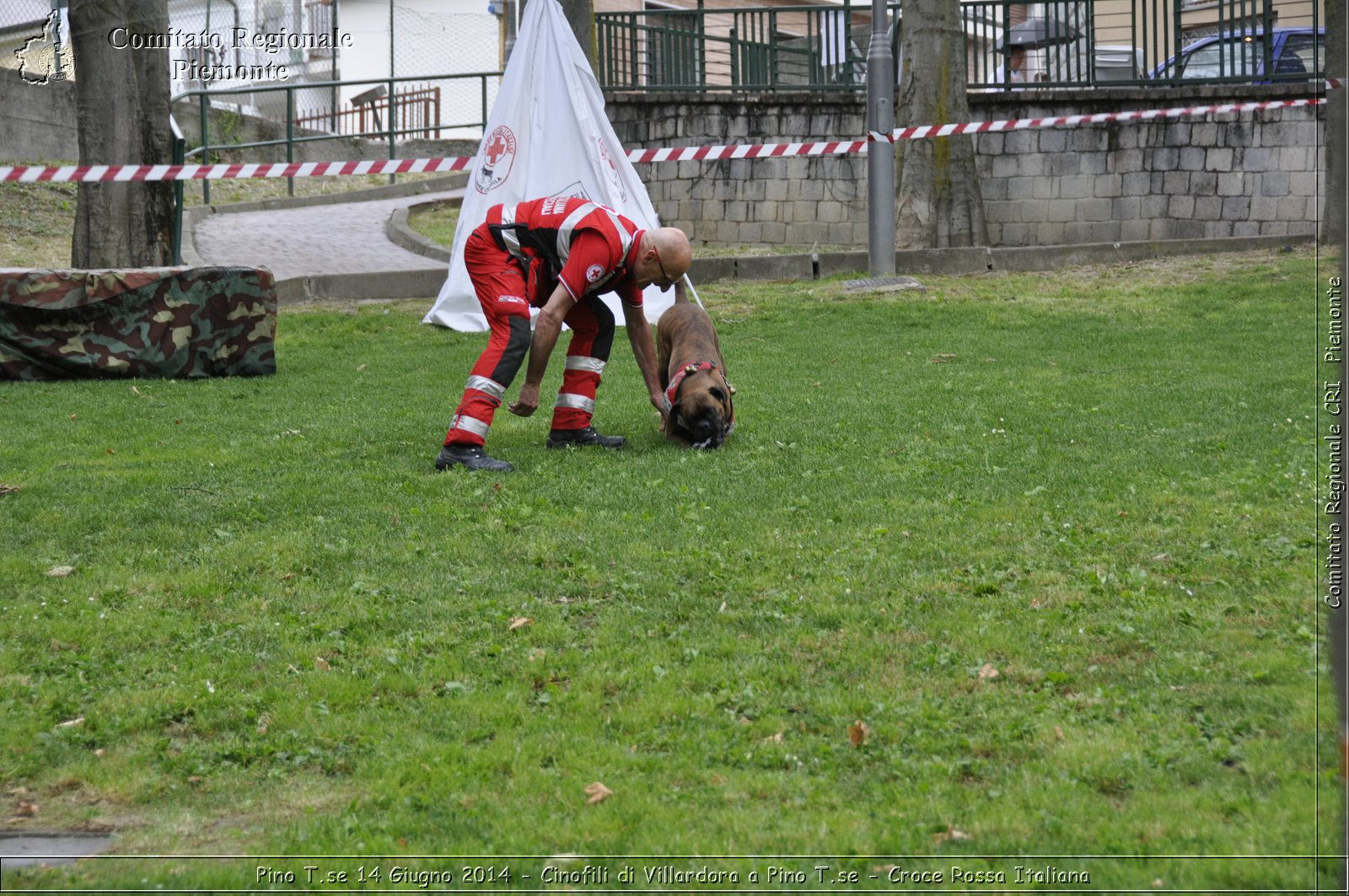 Pino T.se 14 Giugno 2014 - Cinofili di Villardora a Pino T.se - Croce Rossa Italiana- Comitato Regionale del Piemonte