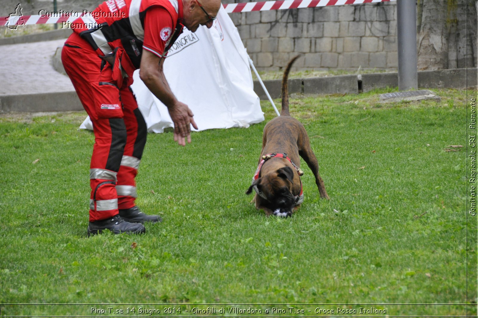 Pino T.se 14 Giugno 2014 - Cinofili di Villardora a Pino T.se - Croce Rossa Italiana- Comitato Regionale del Piemonte