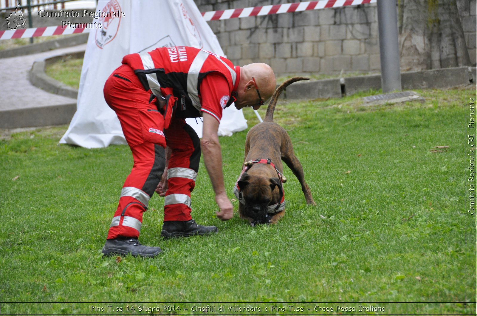 Pino T.se 14 Giugno 2014 - Cinofili di Villardora a Pino T.se - Croce Rossa Italiana- Comitato Regionale del Piemonte