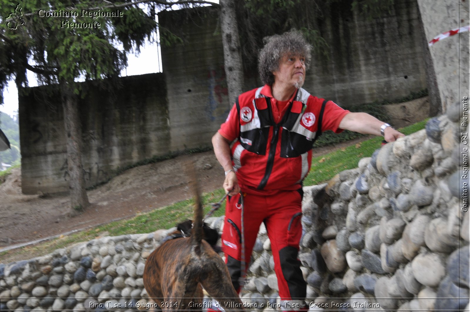 Pino T.se 14 Giugno 2014 - Cinofili di Villardora a Pino T.se - Croce Rossa Italiana- Comitato Regionale del Piemonte