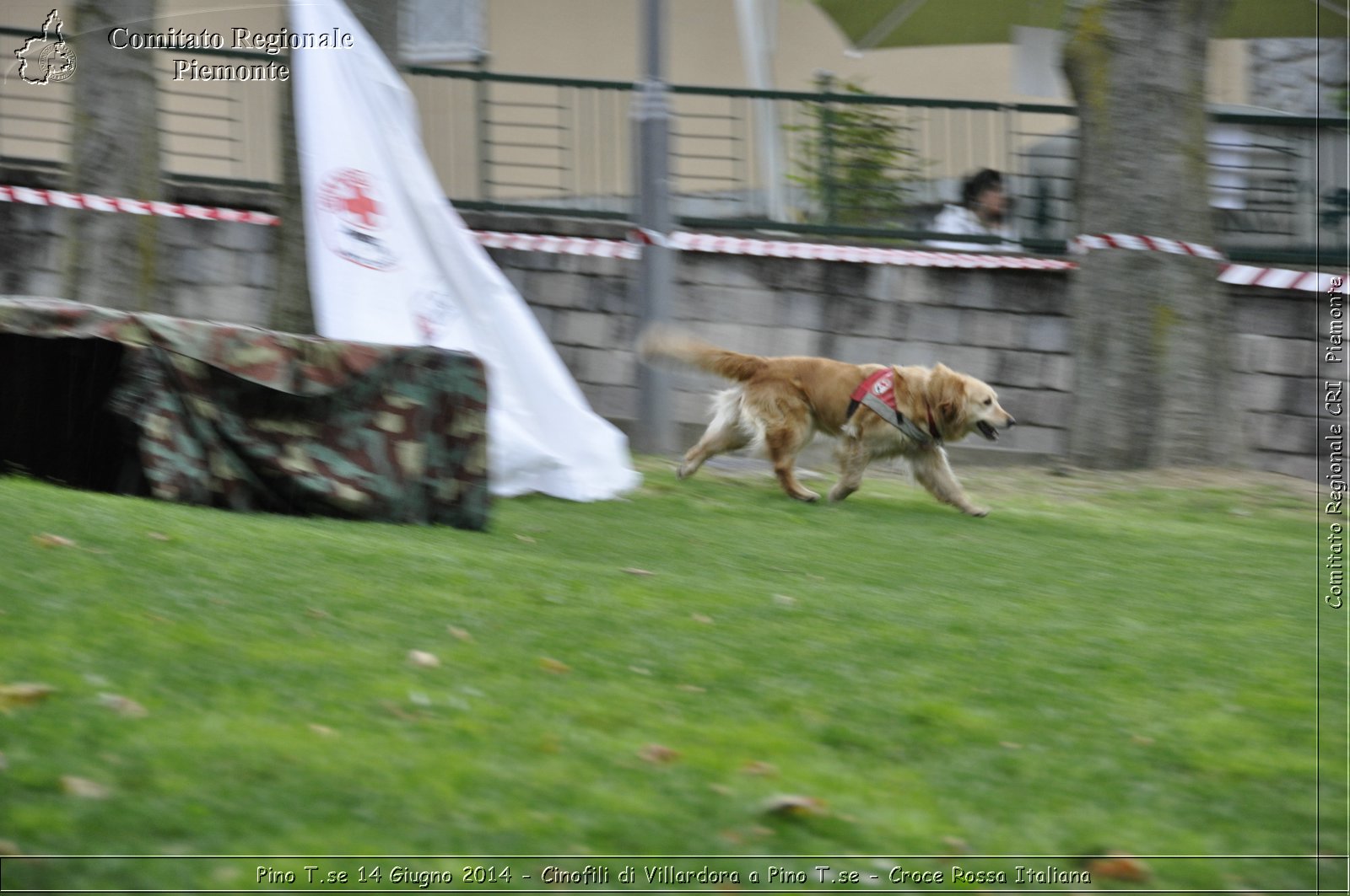 Pino T.se 14 Giugno 2014 - Cinofili di Villardora a Pino T.se - Croce Rossa Italiana- Comitato Regionale del Piemonte