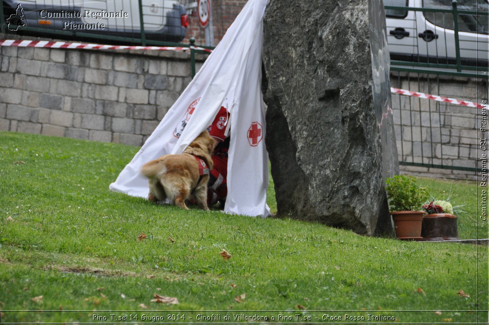 Pino T.se 14 Giugno 2014 - Cinofili di Villardora a Pino T.se - Croce Rossa Italiana- Comitato Regionale del Piemonte