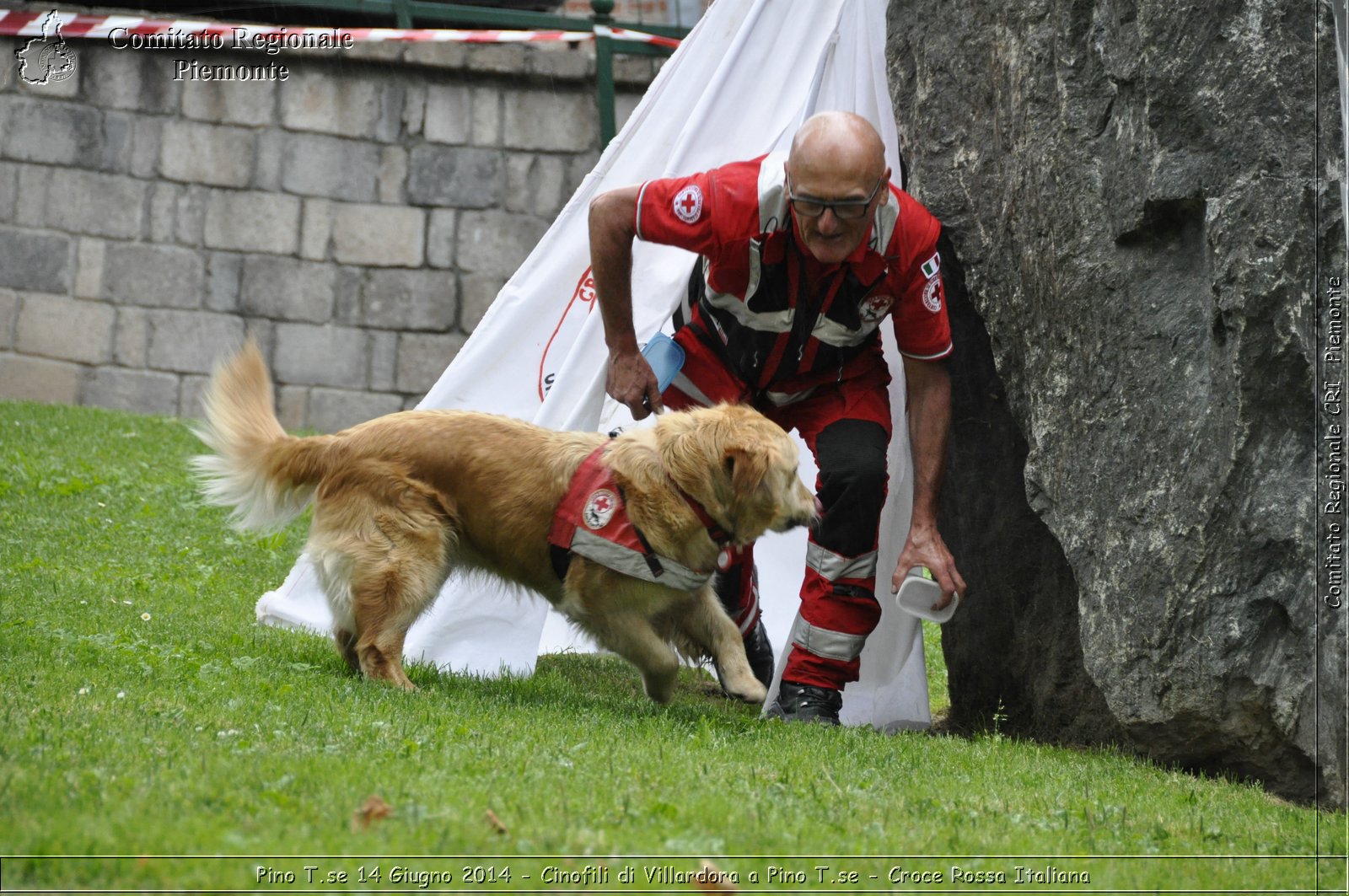 Pino T.se 14 Giugno 2014 - Cinofili di Villardora a Pino T.se - Croce Rossa Italiana- Comitato Regionale del Piemonte